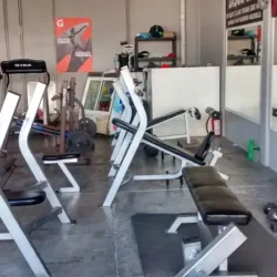 Gimnasio Grizzly