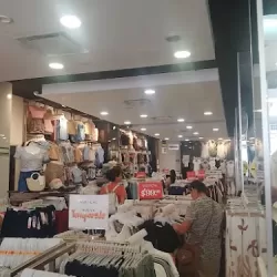 Vertiche