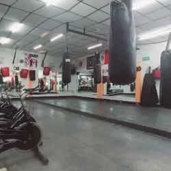 Gimnasio rhinos gym