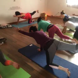 Yoga Ananda