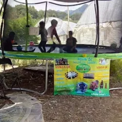 Inflables junior,s