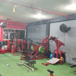 Revenge Training Center