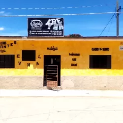 Madejas Tienda De Estambres