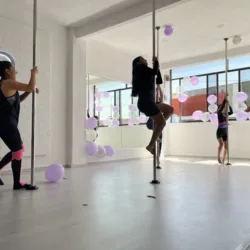 Dual-Pole & Aerial Studio...