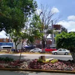 Funerales Santa Cruz Calzada Juarez - Matriz