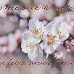 Renacimiento Campo Funeral