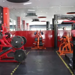 Bull Gym
