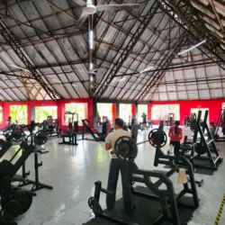 Mr. Gym