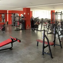 Life Gym & Fitness