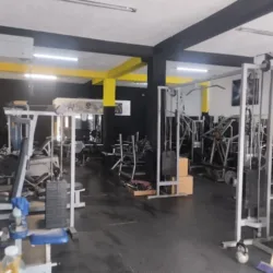 Nimrod GYM