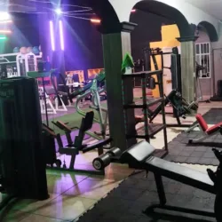 GORILAZ GYM