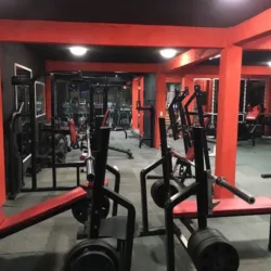 The King Gym San Pedro