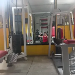 Spidie Gym
