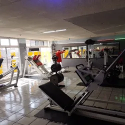 Perros Gym