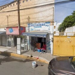 Delficlean