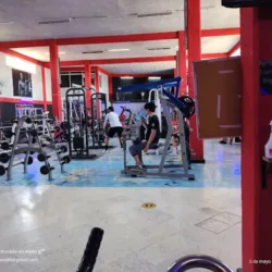 MAAC GYM