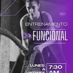 Proyexion Fitness