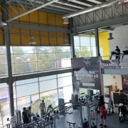 Gimnasio Cardiovascular