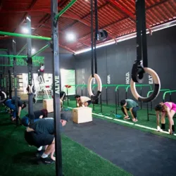 Temple Calisthenics