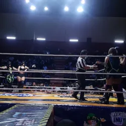 Arena Neza