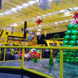 Flexzone Xalapa