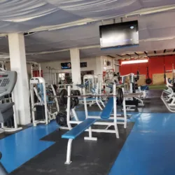Go sports gym