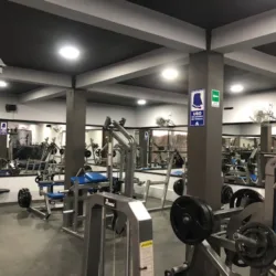 Alter Ego Fitness