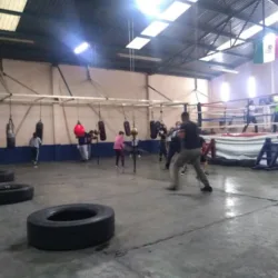 Escuela De Box El Huesos Salón ''La Chispa''