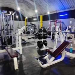 vivis gym