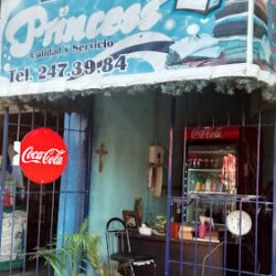 Lavandería Princess