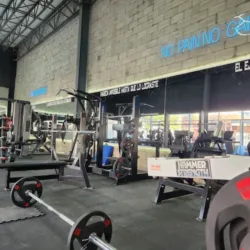 REBEL GYM