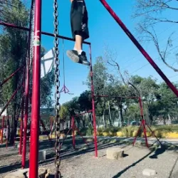 Barras La Cebada Periférico Xochimilco