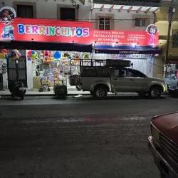 Juguetería BERRINCHITOS