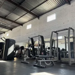 The Gym