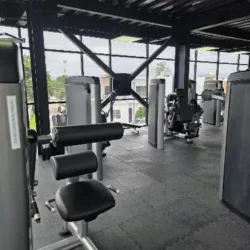 Gimnasio Convivencia