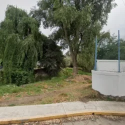 Forastero GYM