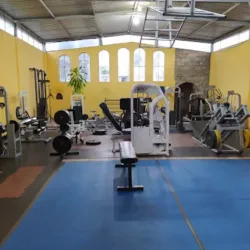 Cactus GYM