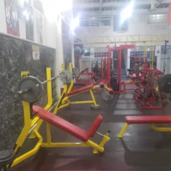 Romanov Gym