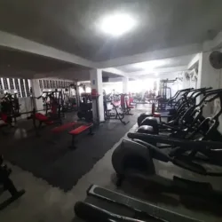 Gym Felter