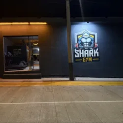 Shark gym