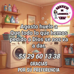 SERVICIO DE LAVANDERÍA *CESI*