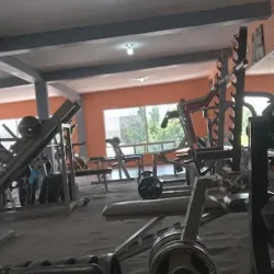Powercats gym