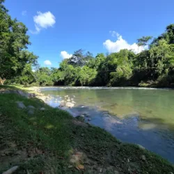 Balneario Las Garzas