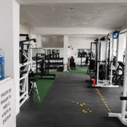 GOLD'S GYM