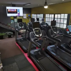 STAR GYM