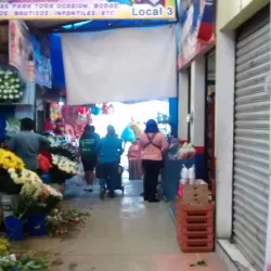 Modatelas Oaxaca IV