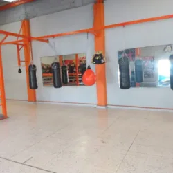 GYM Sparring KO BOX