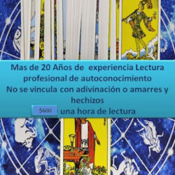 Tarot Aguascalientes