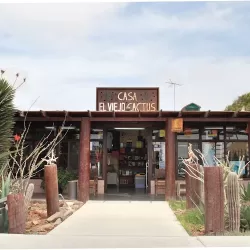 Casa El Viejo Cactus