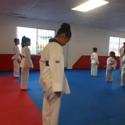 Profighter
